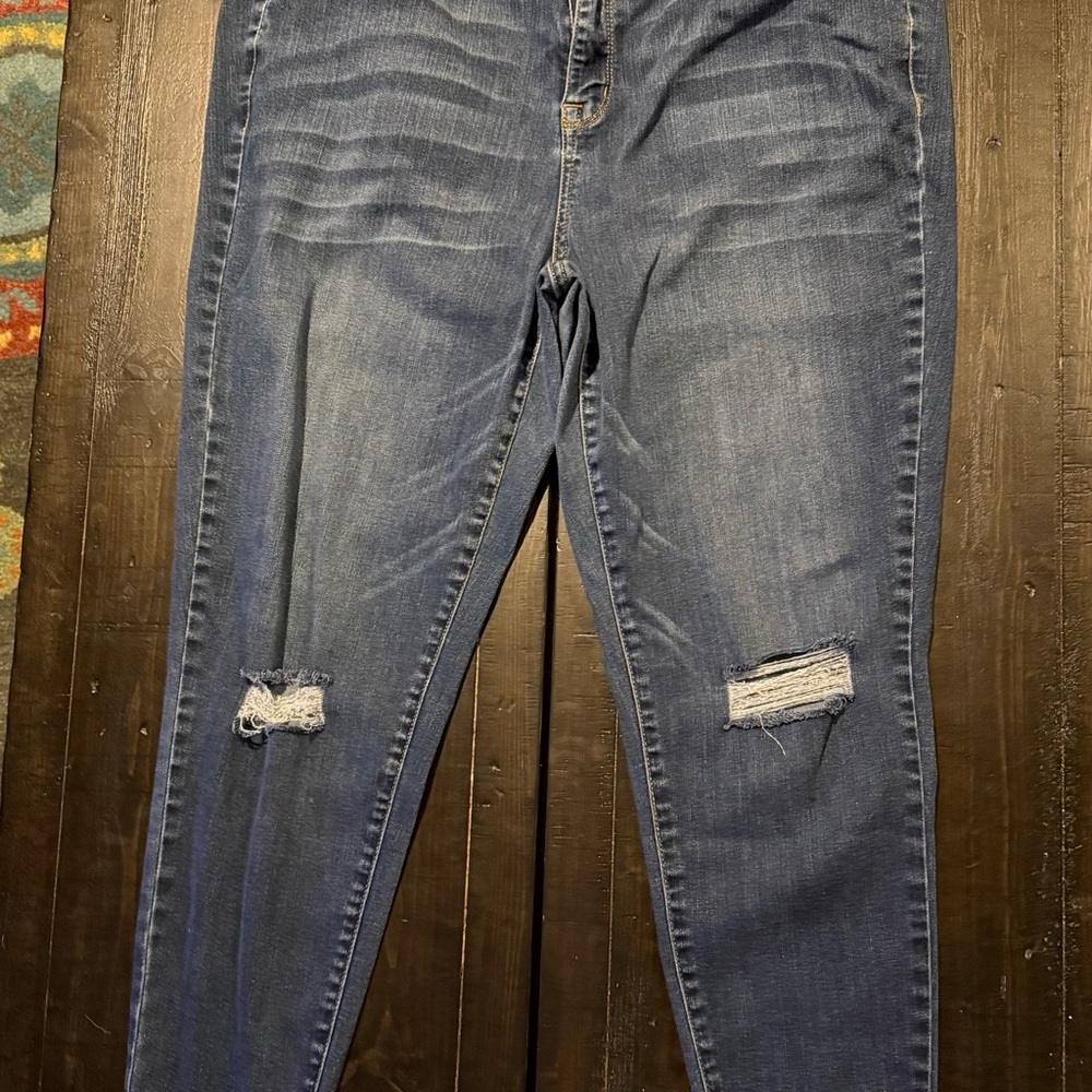 Lane Bryant Women's Distressed Blue Skinny Jeans